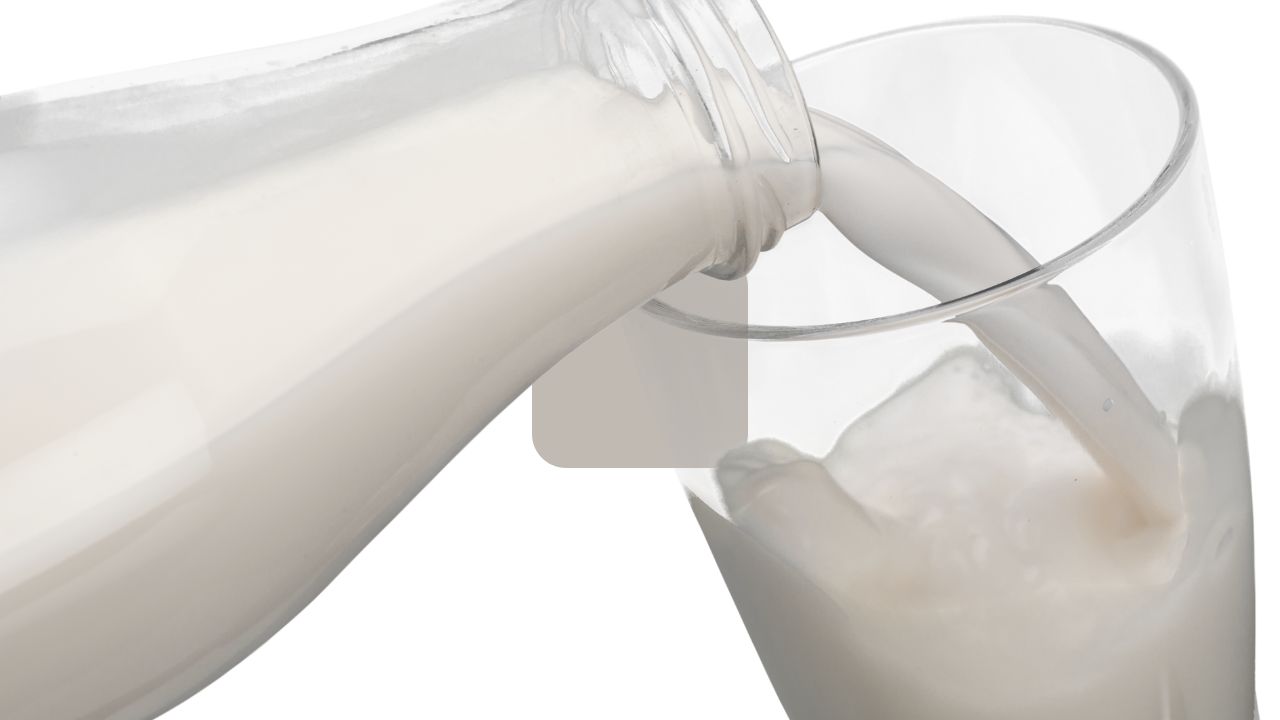 Il miglior latte da bere | deve superare alcuni test | come scegliere