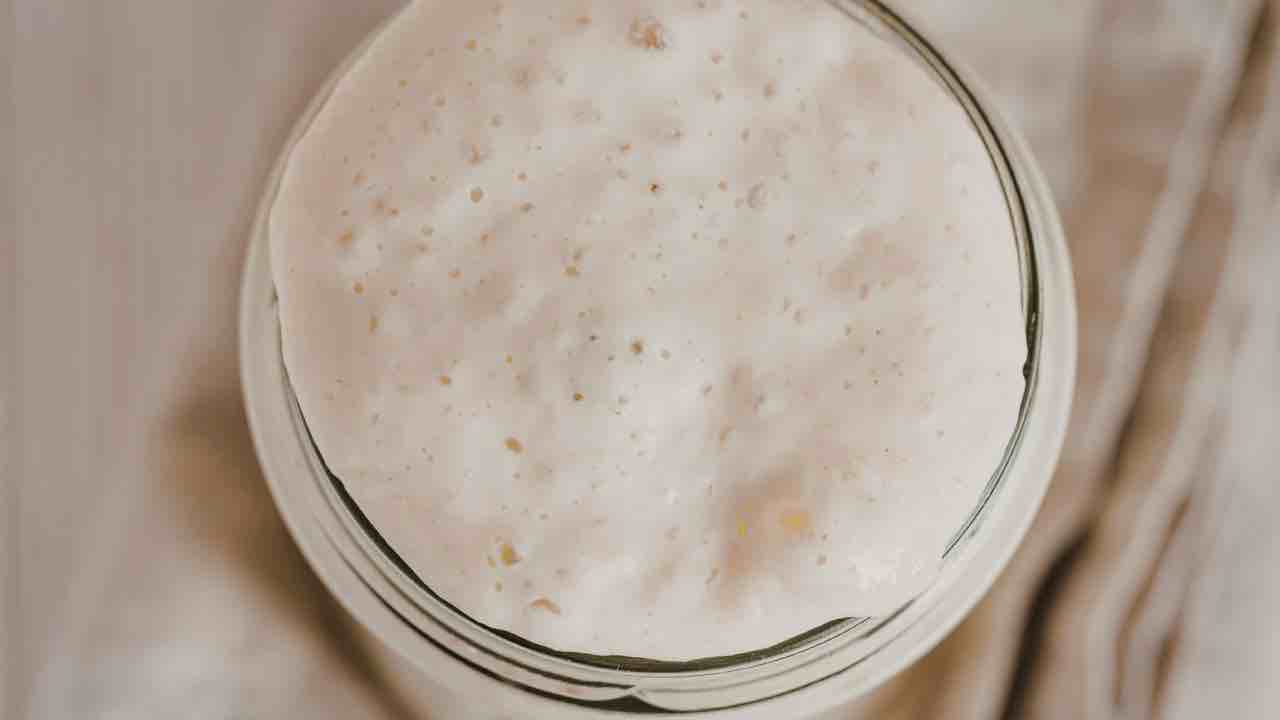 Lievito madre: se fai questo te lo ritrovi sempre in casa e pronto all’uso